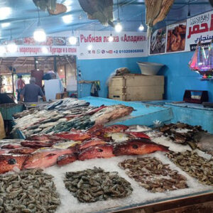 Hurghada City Tour with Lunch & Shisha – White Shark Travel (1)