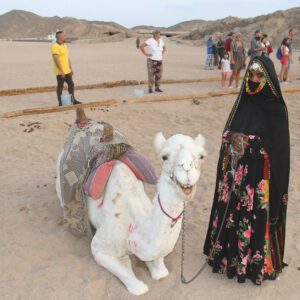 Hurghada Desert Jeep Adventure & Stargazing with Dinner- white Shark Travel (3)