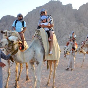 Hurghada Desert Jeep Adventure & Stargazing with Dinner- white Shark Travel (6)