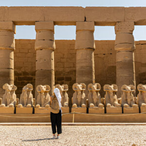 Luxor Day Trip from Hurghada with Valley of Kings- White Shark Travel (3)