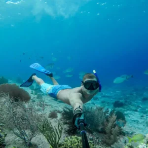 Dolphin Watching & Coral Reef Snorkeling Tour with Lunch- White Shark Travel (10)