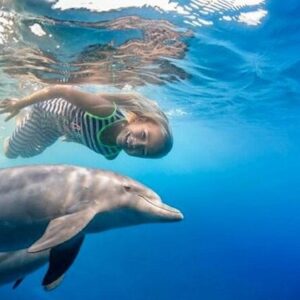 Dolphin Watching & Coral Reef Snorkeling Tour with Lunch- White Shark Travel (2)