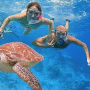 Empire Seascope Hurghada Semi-Submarine & Snorkeling Tour (11)