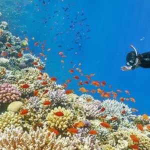 Empire Seascope Hurghada Semi-Submarine & Snorkeling Tour (2)