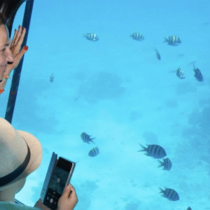 Empire Seascope Hurghada Semi-Submarine & Snorkeling Tour (4)