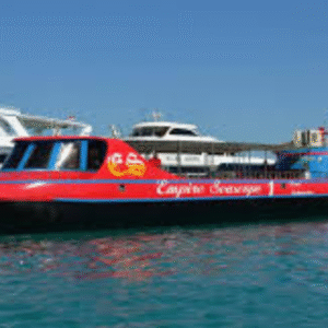 Empire Seascope Hurghada Semi-Submarine & Snorkeling Tour (5)