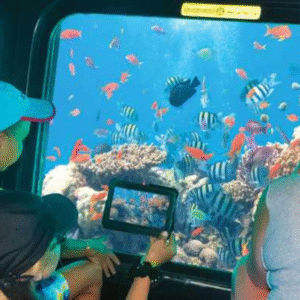 Empire Seascope Hurghada Semi-Submarine & Snorkeling Tour (9)