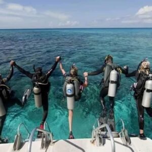 Diving White shark