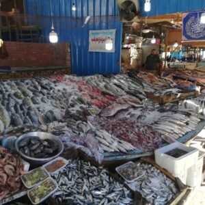 Fish Market