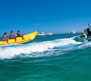 banana boat white shark