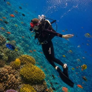 diving 5