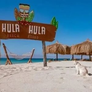 hula hula white shark 4