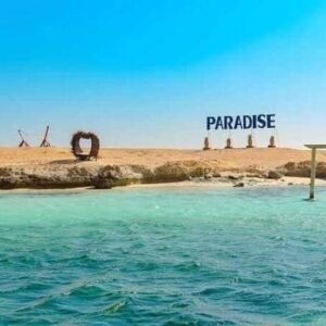paradise island White shark