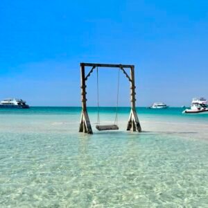 paradise island white shark
